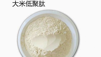 酶解技術(shù)制備大米活性肽