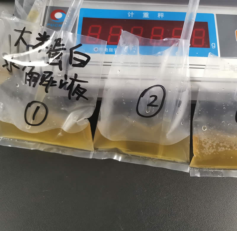 大米蛋白水解酶