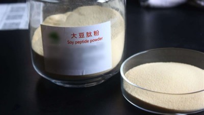 生產(chǎn)大豆低聚肽與多肽會(huì)用到哪些酶制劑？