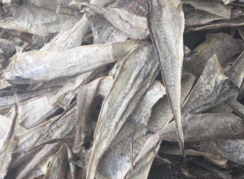 鱈魚(yú)皮提取膠原蛋白肽