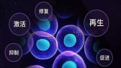 東恒華道酶制劑即將參加2021第五屆生物活性肽研討會(huì)