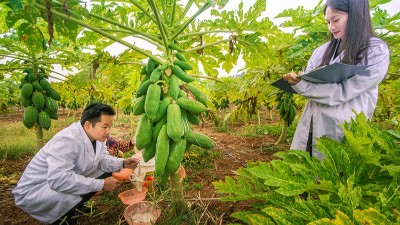 食品酶制劑在食品加工中的應用